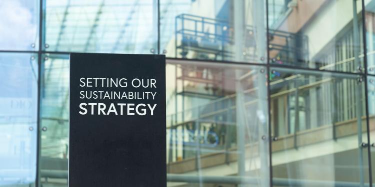 Setting our sustainability strategy