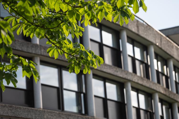 Wolfson College windows